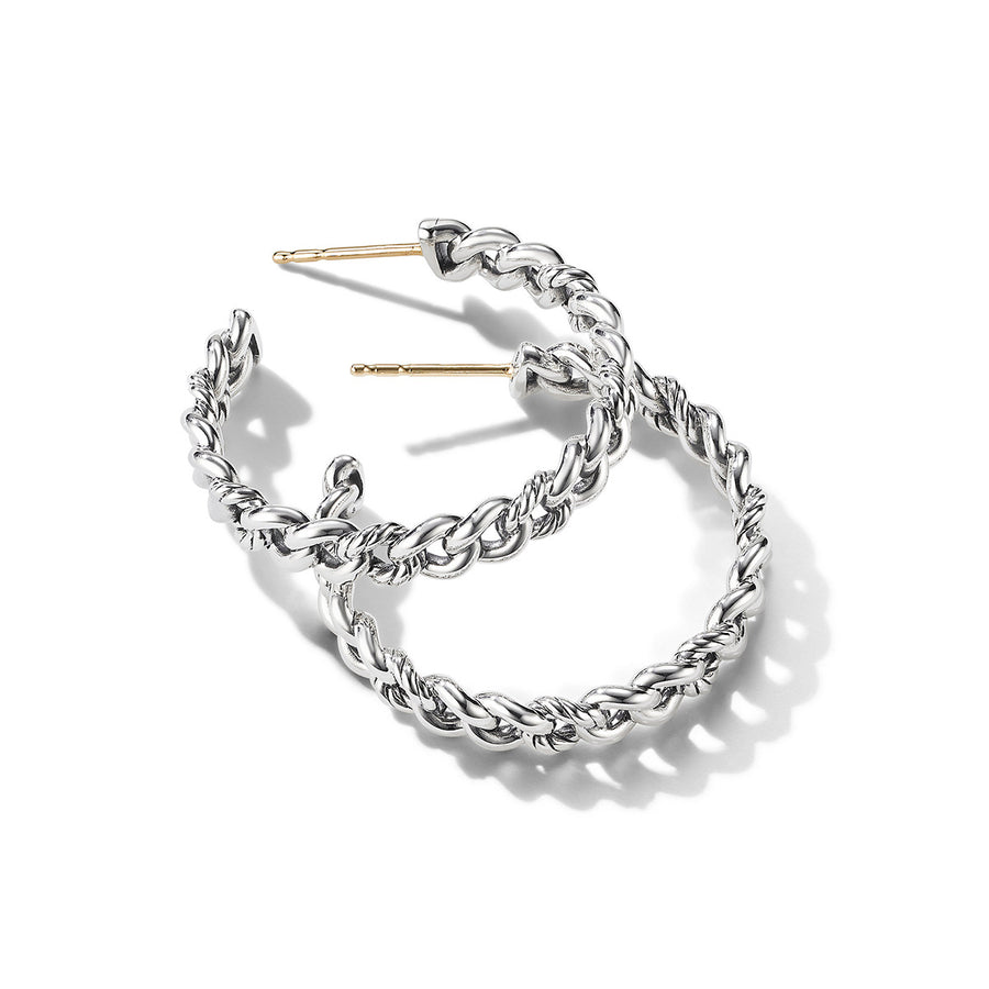 Belmont Curb Link Medium Hoop Earrings