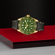 TUDOR Black Bay 58 18k 39mm - M79018V-0001 at Schiffman’s Jewelers