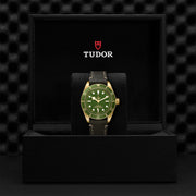 TUDOR Black Bay 58 18k 39mm - M79018V-0001 at Schiffman’s Jewelers