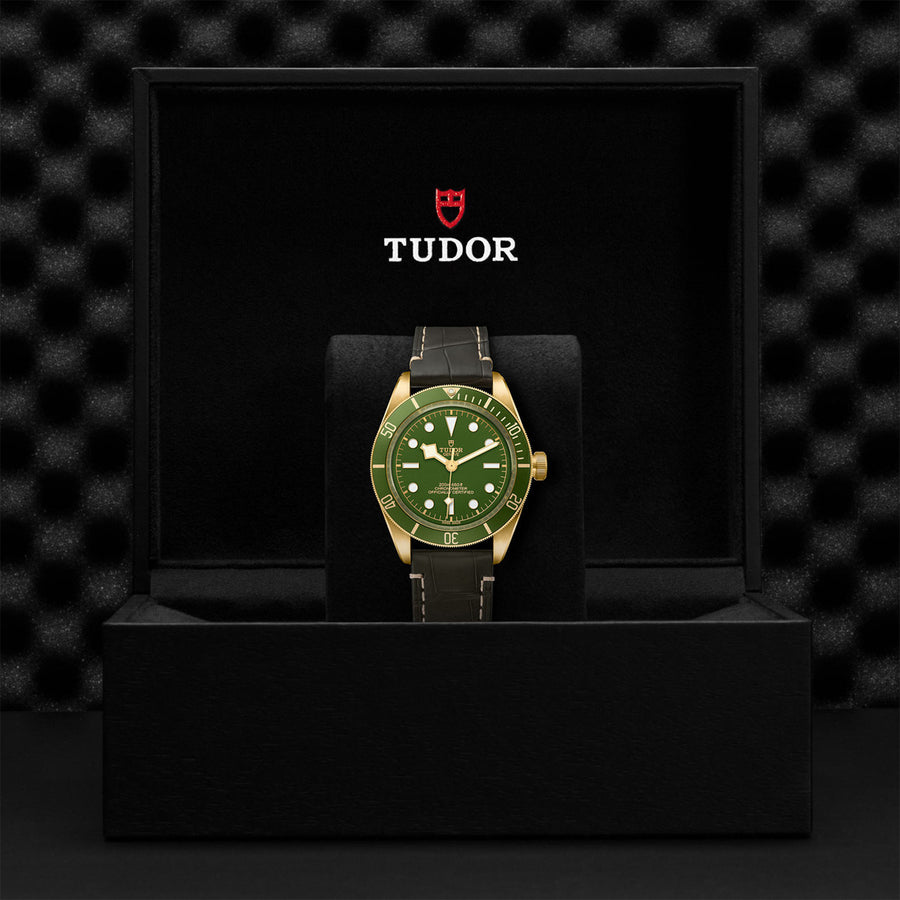 TUDOR Black Bay 58 18k 39mm - M79018V-0001 at Schiffman’s Jewelers