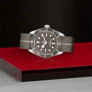 TUDOR Black Bay 58 925 39mm - M79010SG-0002 at Schiffman’s Jewelers