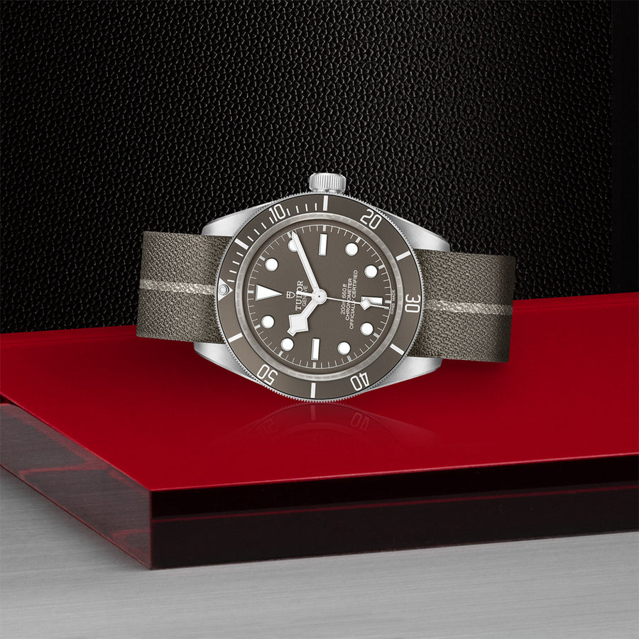 TUDOR Black Bay 58 925 39mm - M79010SG-0002 at Schiffman’s Jewelers