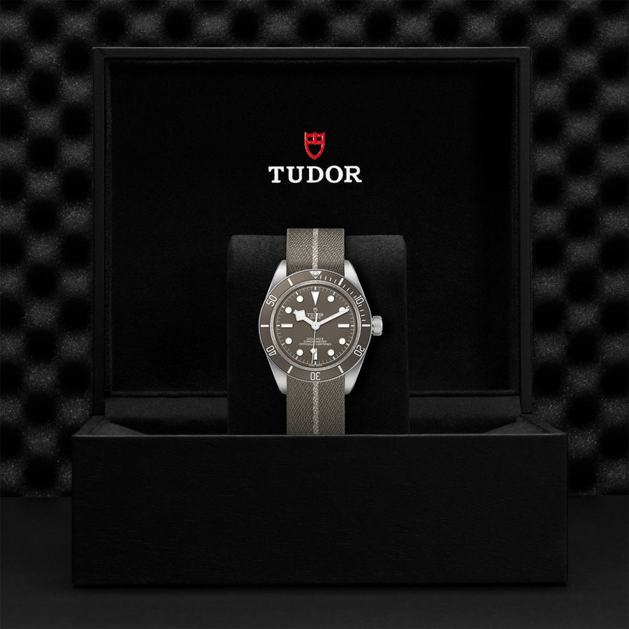 TUDOR Black Bay 58 925 39mm - M79010SG-0002 at Schiffman’s Jewelers