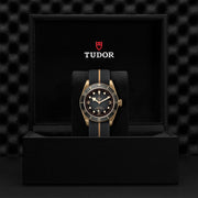 TUDOR Black Bay Bronze 41mm - M79250BA-0002 at Schiffman’s Jewelers