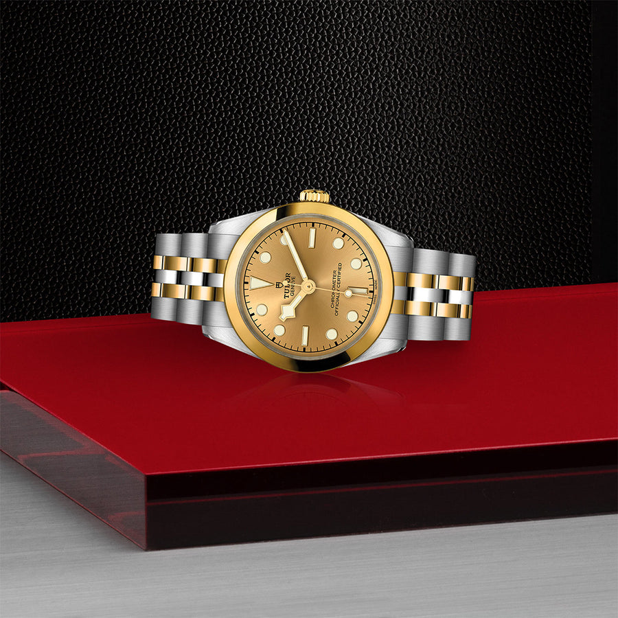 TUDOR Black Bay One 31 S&G 31mm - M79603-0005 at Schiffman’s Jewelers