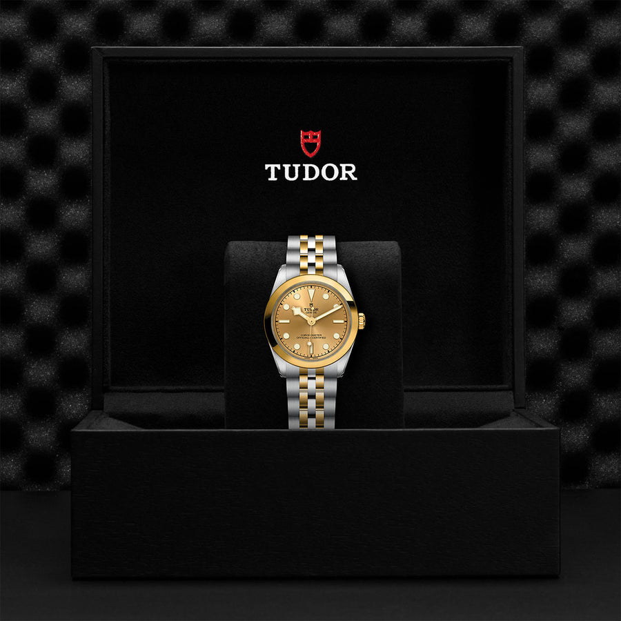 TUDOR Black Bay One 31 S&G 31mm - M79603-0005 at Schiffman’s Jewelers