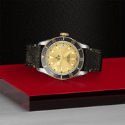 TUDOR Black Bay S&G 41mm - M79733N-0003 at Schiffman’s Jewelers