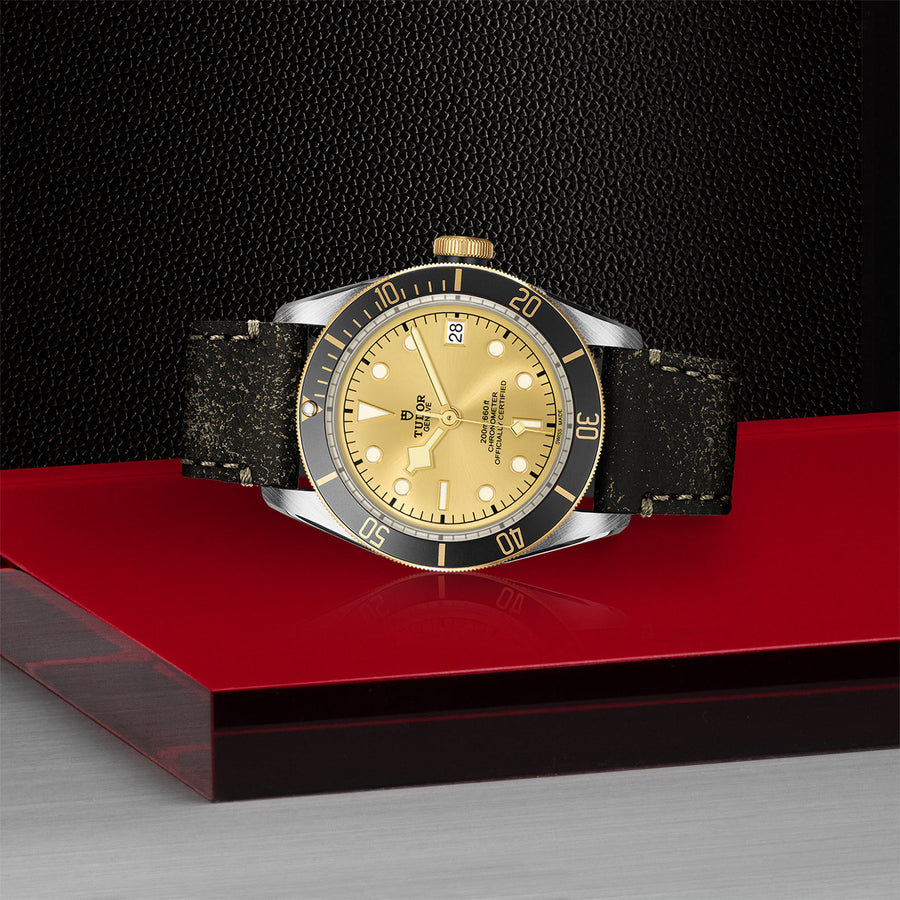 TUDOR Black Bay S&G 41mm - M79733N-0003 at Schiffman’s Jewelers