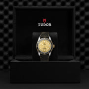 TUDOR Black Bay S&G 41mm - M79733N-0003 at Schiffman’s Jewelers