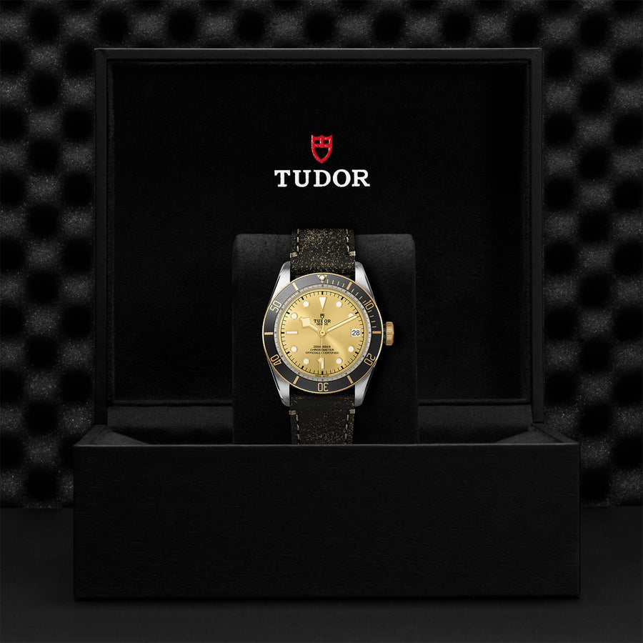 TUDOR Black Bay S&G 41mm - M79733N-0003 at Schiffman’s Jewelers