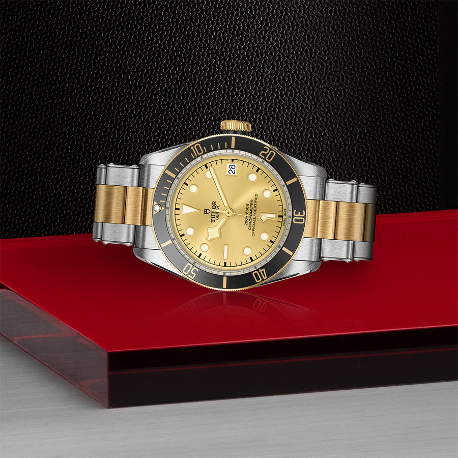 TUDOR Black Bay S&G 41mm - M79733N-0004 at Schiffman’s Jewelers