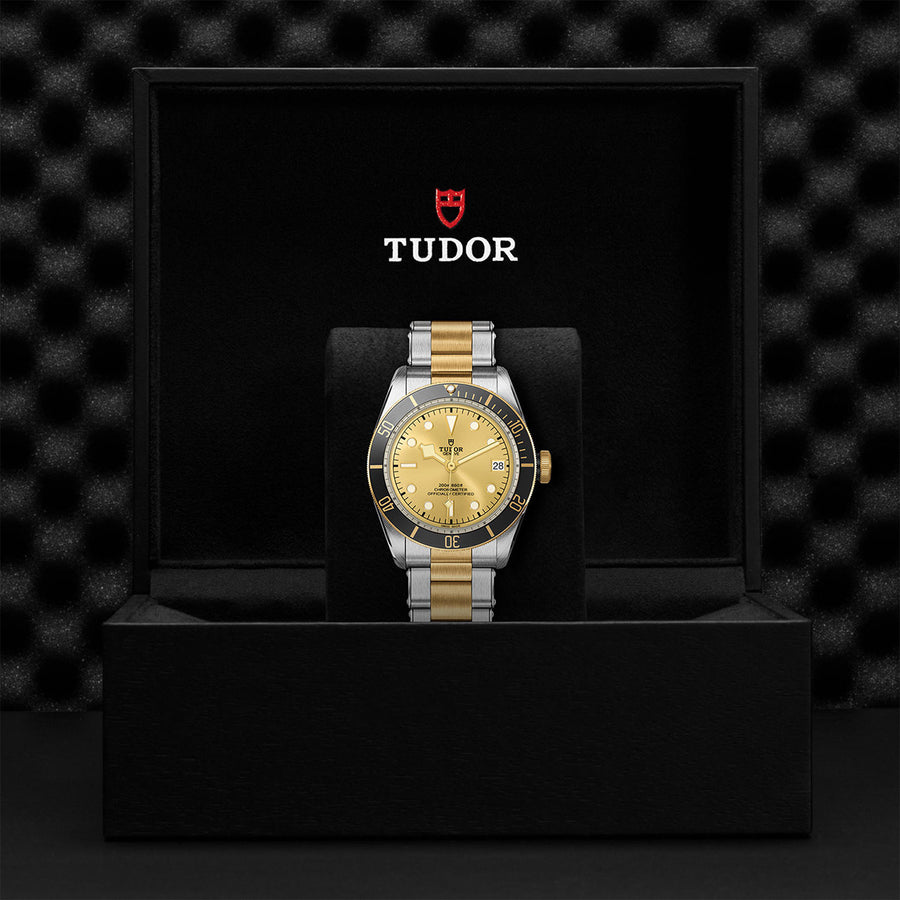TUDOR Black Bay S&G 41mm - M79733N-0004 at Schiffman’s Jewelers