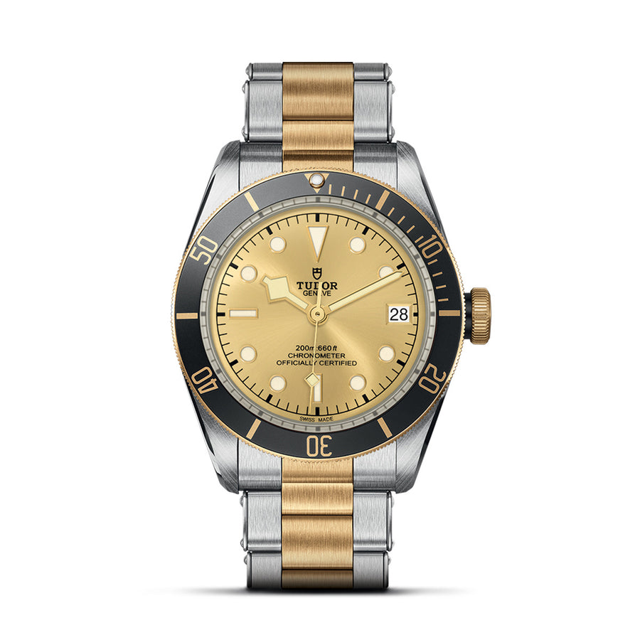 TUDOR Black Bay S&G 41mm - M79733N-0004 at Schiffman’s Jewelers