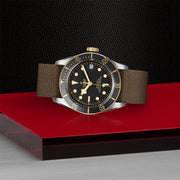 TUDOR Black Bay S&G 41mm - M79733N-0005 at Schiffman’s Jewelers
