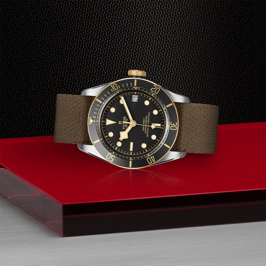 TUDOR Black Bay S&G 41mm - M79733N-0005 at Schiffman’s Jewelers