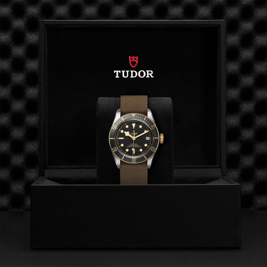 TUDOR Black Bay S&G 41mm - M79733N-0005 at Schiffman’s Jewelers