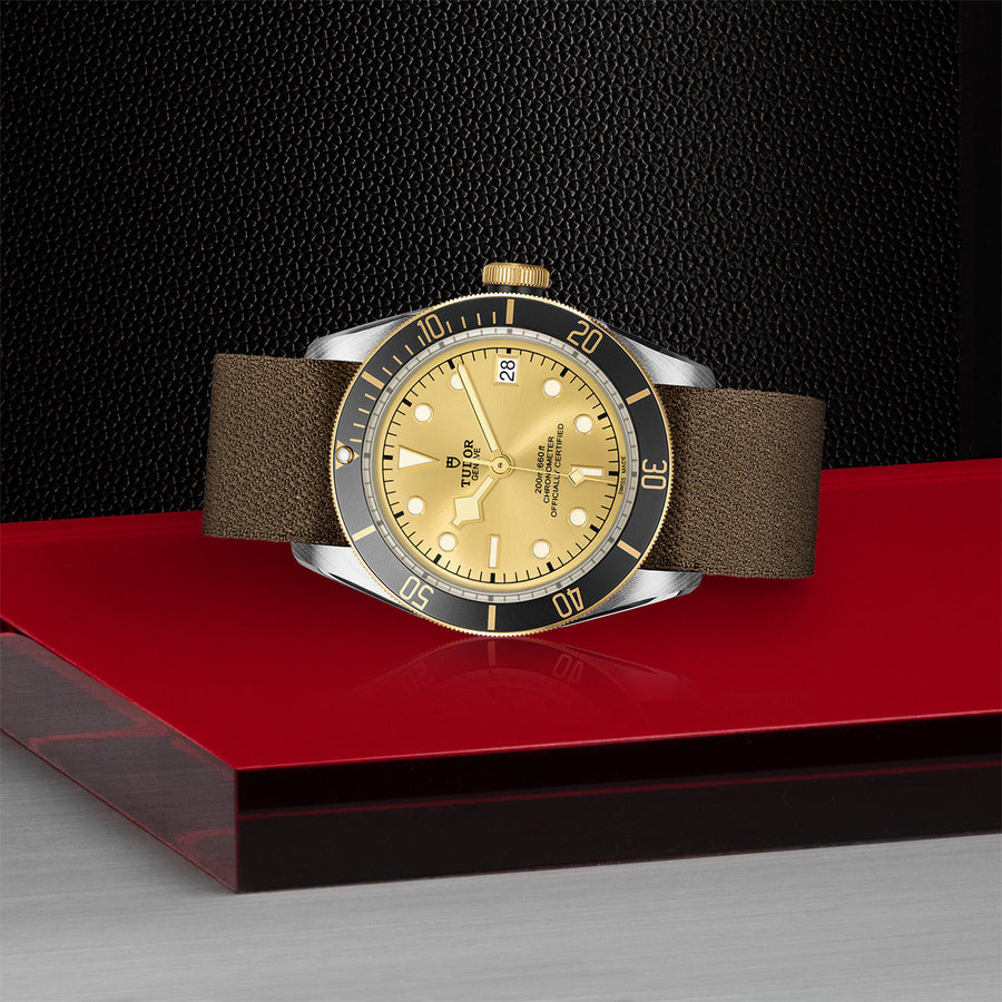 TUDOR Black Bay S&G 41mm - M79733N-0006 at Schiffman’s Jewelers