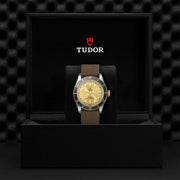 TUDOR Black Bay S&G 41mm - M79733N-0006 at Schiffman’s Jewelers
