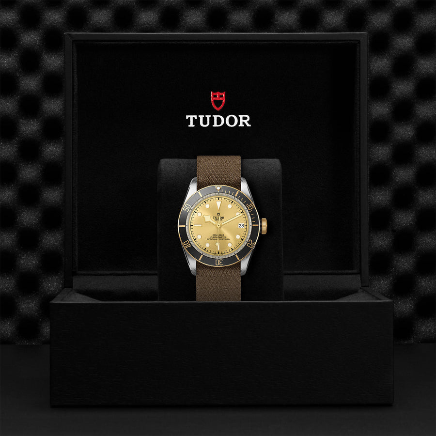 TUDOR Black Bay S&G 41mm - M79733N-0006 at Schiffman’s Jewelers