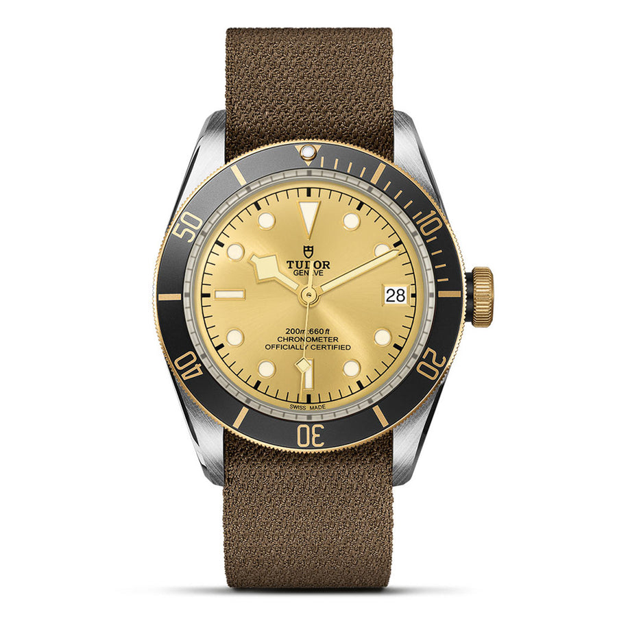 TUDOR Black Bay S&G 41mm - M79733N-0006 at Schiffman’s Jewelers