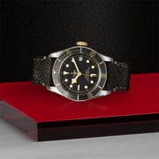 TUDOR Black Bay S&G 41mm - M79733N-0007 at Schiffman’s Jewelers