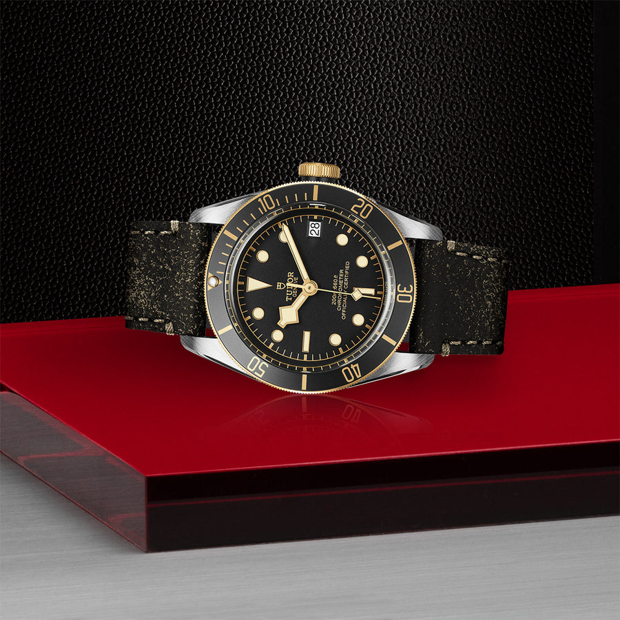TUDOR Black Bay S&G 41mm - M79733N-0007 at Schiffman’s Jewelers