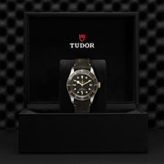 TUDOR Black Bay S&G 41mm - M79733N-0007 at Schiffman’s Jewelers