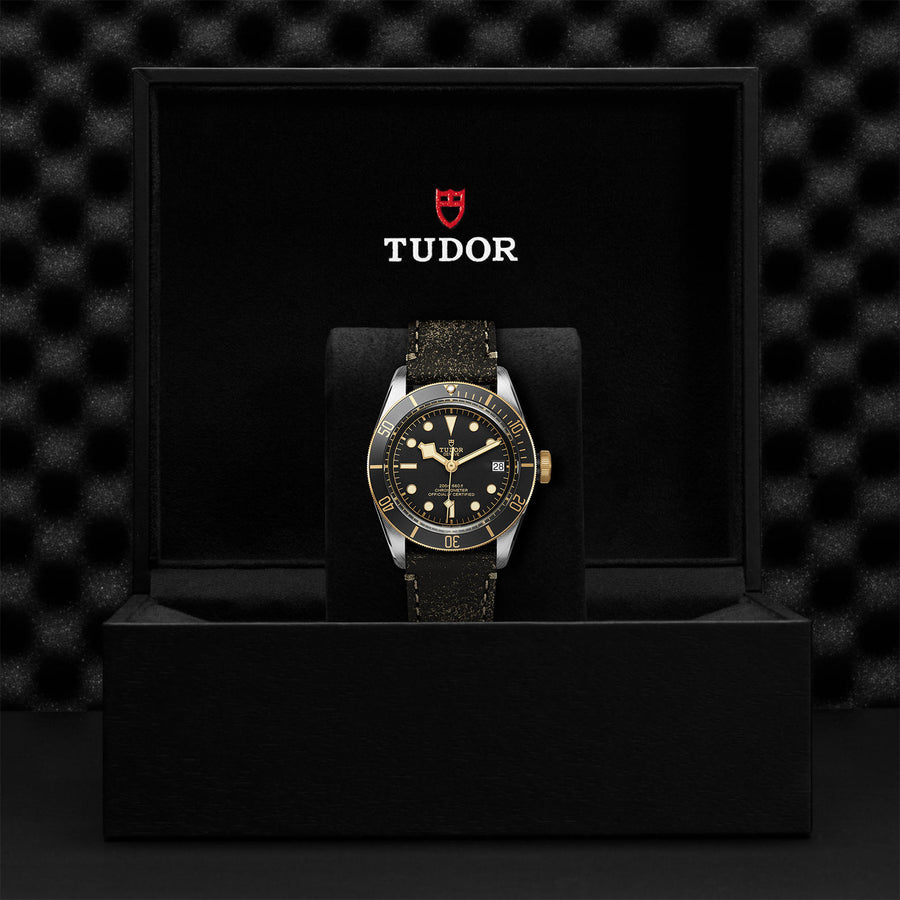 TUDOR Black Bay S&G 41mm - M79733N-0007 at Schiffman’s Jewelers