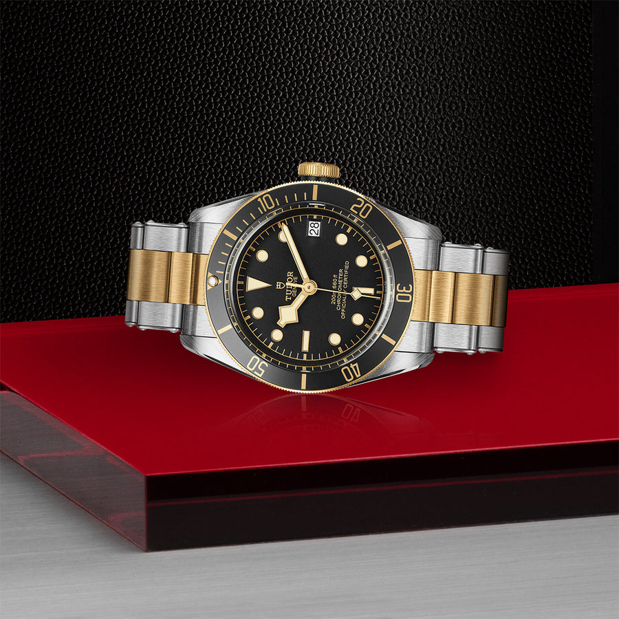 TUDOR Black Bay S&G 41mm - M79733N-0008 at Schiffman’s Jewelers