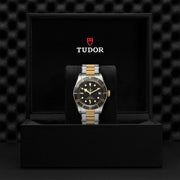 TUDOR Black Bay S&G 41mm - M79733N-0008 at Schiffman’s Jewelers