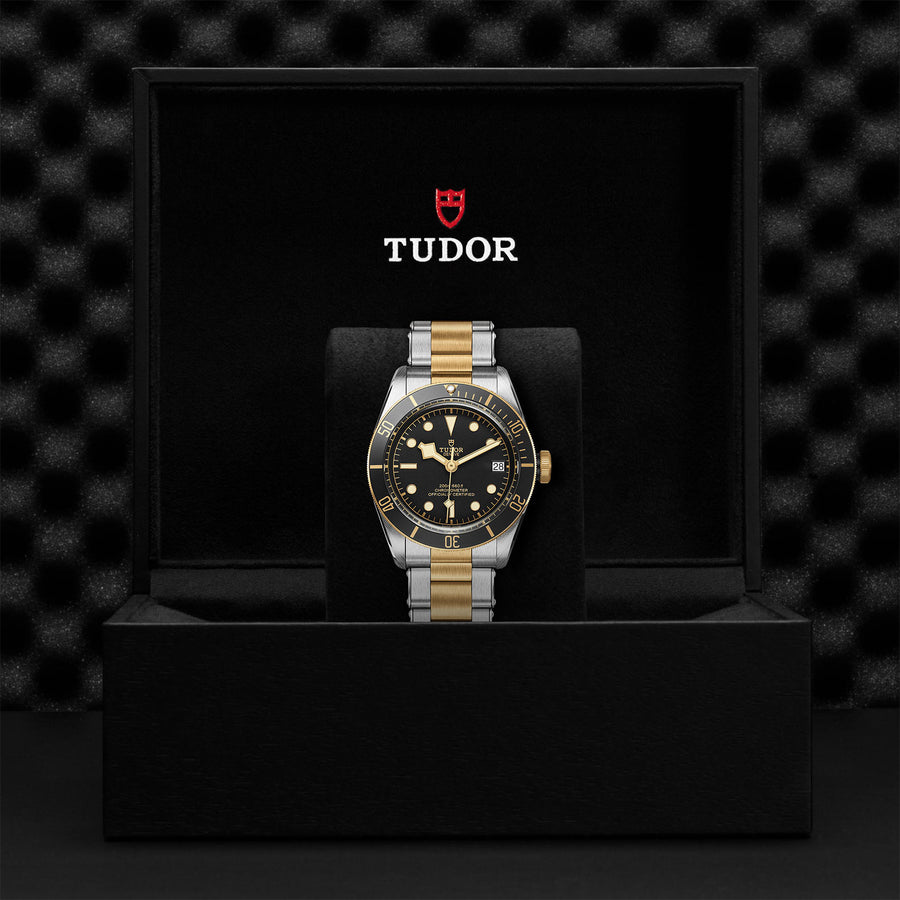 TUDOR Black Bay S&G 41mm - M79733N-0008 at Schiffman’s Jewelers