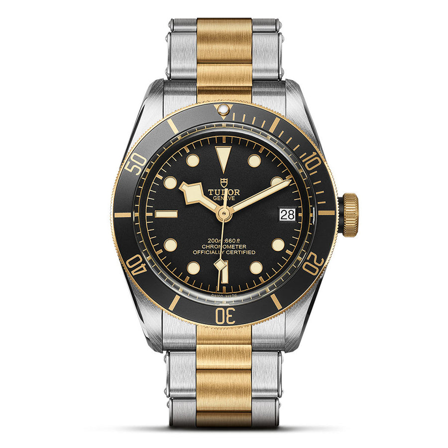 TUDOR Black Bay S&G 41mm - M79733N-0008 at Schiffman’s Jewelers