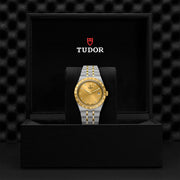 TUDOR Royal 38mm - M28503-0005 at Schiffman’s Jewelers