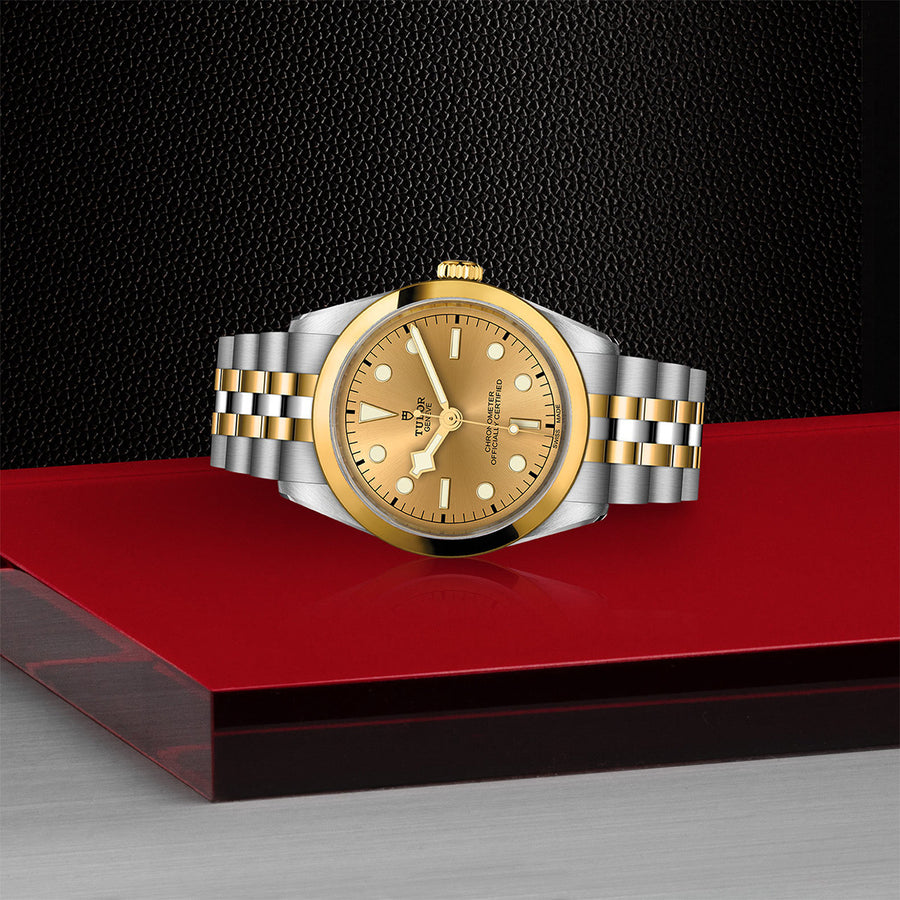 TUDOR-Black Bay One 36 S&G-36mm-M79643-0005-at-Schiffman’s Jewelers